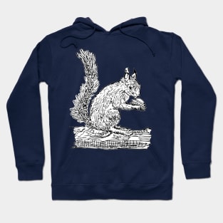 Squirrel and UFO Hoodie